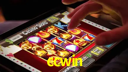 A Experiência Imersiva dos Cassinos Ao Vivo no ccwin